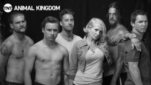 Animal Kingdom - Animal Kingdom